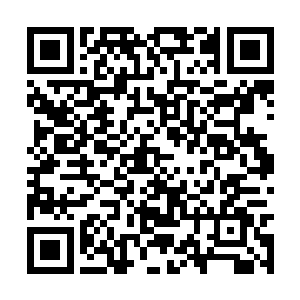 当即开始用画竹名家郑燮郑板桥的小写意画风作画二维码生成