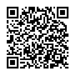 当即毫不迟疑的便以神识星核和元蜃神目的双重感应之力二维码生成