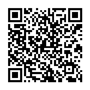 当即盘坐在深坑之边开始逐一炼化那些没有意识的刀煞之气二维码生成