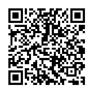 当即龙傲天的目光也落到了地上散落的那些乳白色的晶体上面二维码生成