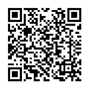 当叶妩穿着粉色兔子装毛衣从更衣室里面走出来时二维码生成