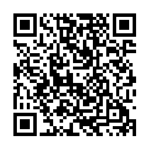 当场知情的一些闲杂人等以及他们的家人都被杀了二维码生成