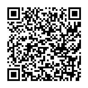 当场秦宇便是叫上了同村一些学生将林俊和他的那些人都给拦住了二维码生成