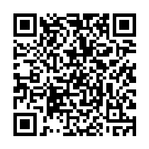 当墨景黎再一次朝着跪了一敌的太医大发雷霆的时候二维码生成