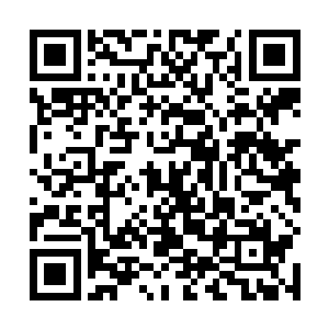 当大姨夫把洪涛写的这份儿计划书拿给周主任看的时候二维码生成