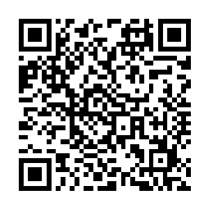 当大家从暗红色的血肉大殿中一下子回到正常大殿内时二维码生成