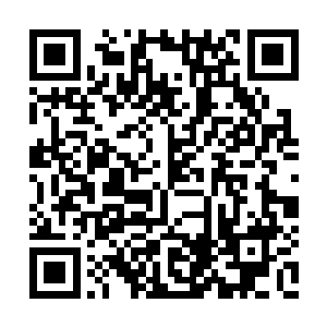 当大家发现卡尔德隆修改了自己的竞选承诺之后二维码生成