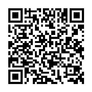 当大屏幕上出现处于蓝色方的lcd一抢豹女画面时二维码生成