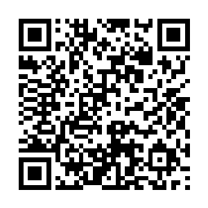 当天国秘密科研机构分析出机械圣衣的各项属性时二维码生成