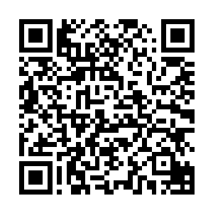 当天所有参与动乱的学生都不知道为什么要血洗十一中二维码生成