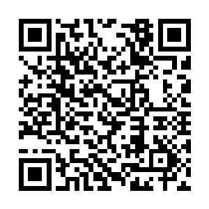 当天深更半夜的时候我就辗转到了秦澜家别墅外面二维码生成