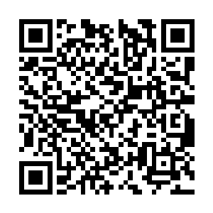 当她们听到许紫烟是来自世俗界的一个家族的时候二维码生成