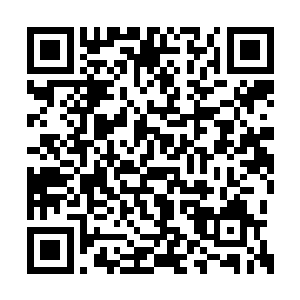 当她们聚在一起兴奋地讨论着与偶像有关的一切二维码生成