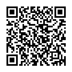 当她体内的一丝丝黑气在她的印堂组成了一个蜘蛛图案的时候二维码生成