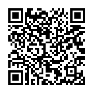 当她发现其实自己的仙术是能够在这样的混沌中修炼时二维码生成
