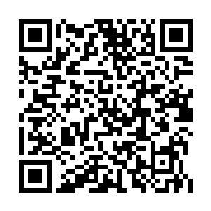 当她听到苏落能够将战斗机理论用于民用飞行器二维码生成