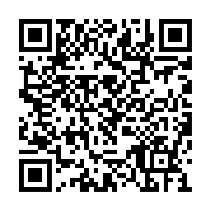 当她带我们来到这帝王厅的时候把我也吓了一跳二维码生成