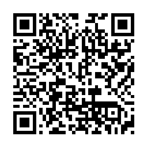 当她得知自己的红色兰博基尼车被炸碎了的时候二维码生成