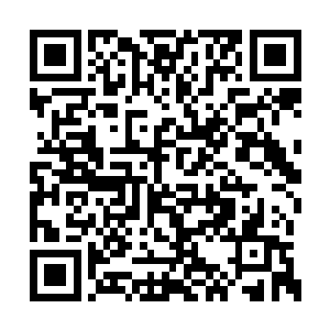 当她无数次向凯萨琳提出以后长大了要嫁给叶秋二维码生成