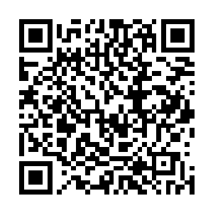 当她看到这位儒雅的中年男人脸上流露出的贪婪和心动之后二维码生成