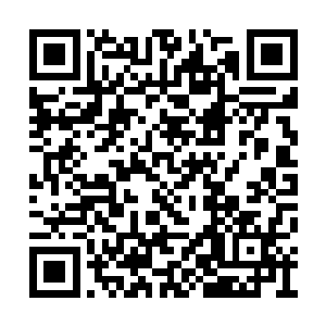 当她看到采菊慌慌张张从高高的台阶下跑下来时二维码生成