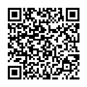 当她看着峰峰那张和他越来越相似的小脸的时候二维码生成