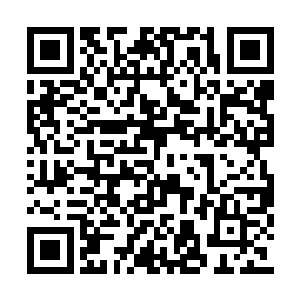 当她看见杨辰独自冲上去顶住那潮涌下来的打手二维码生成