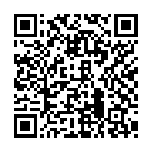 当姿态的豹女靠上来准备补残血大车兵的那一刹二维码生成