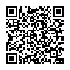 当孙子轩坐在黑色巨蟒头上的场面出现在王斌三人眼前的时候二维码生成
