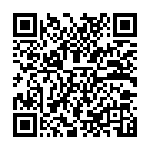 当孟南将自己在第十层中看到的情景说出来的时候二维码生成