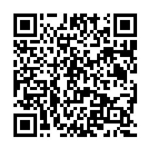 当它散发出来的时候会剥夺omega和alpha的一部分人性二维码生成