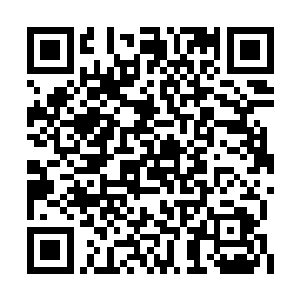 当它重新出现的时候爪子上已经握住了两条大鱼二维码生成