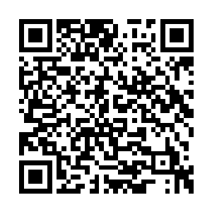 当守门人被无聊的郑浩然折磨的奄奄一息的时候二维码生成