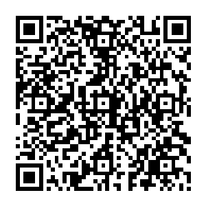 当宛如一个漂亮少妇一样的索妮雅和其余的五十二个女人一起站在张铁面前的时候二维码生成