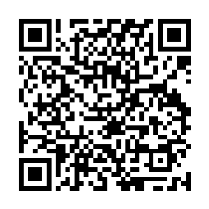 当宴会上的龙裔音乐家换了一个较为缓和的曲子的时候二维码生成