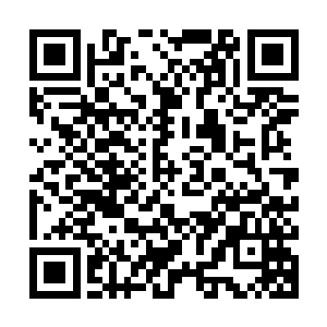 当家的信号就断在了那而后来我们在天道仙域左近一些安全点上二维码生成