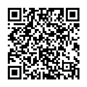 当小木人被打磨好拴上丝线被送到陆轻盈那里的时候二维码生成