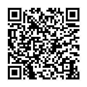 当小胖准备再一次将这些巨型生物全部消灭一尽的时候二维码生成