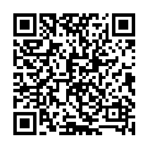 当小船上的人搞清楚洪涛的帆船下面缠住了渔网之后二维码生成