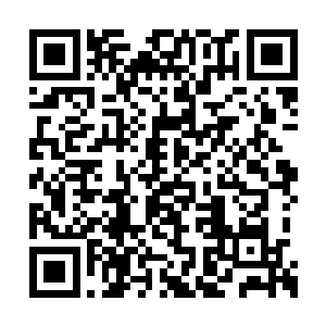 当小龙体表那一枚枚细小的银色龙鳞炸裂的时候二维码生成