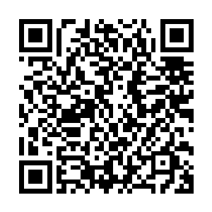 当少年瘦弱仿佛没有半点肉的双脚距离地面还有十厘米的时候二维码生成