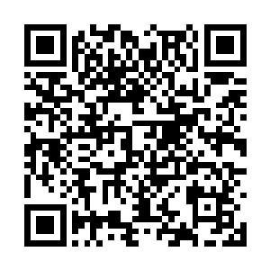 当年一代兽神臣服我可不是因为我有什么帝王气度二维码生成