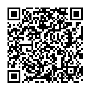 当年他们和我们无角人能一起把眼中只有材料的贪婪炼骨族赶出东大陆二维码生成