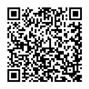 当年他们跟那些被刷下来的仙丹期天仙的地位比起来也是相差着十万八千里二维码生成