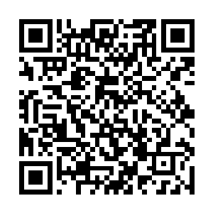 当年他跟薄家人做出来的事儿一定是被薄履冰知道了二维码生成