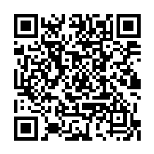 当年他还是黑水国的一个开脉段的小家伙的时候二维码生成