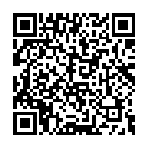 当年以力量形态和十大神者不知道争斗了多少年二维码生成