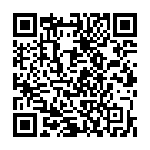 当年你师父我也是在地界小皇朝中当过宰相的人二维码生成