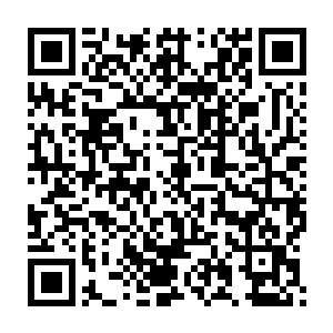 当年凤家众人以凤之遥和定王府走得近为由逼迫家主将他赶出了凤家二维码生成
