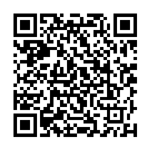 当年就是那倔脾气让她在尸兄横行的h市救了白小飞二维码生成